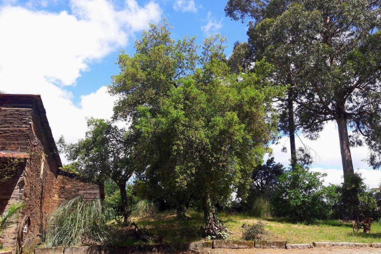 Porto Natura House Valongo  Bagian luar foto